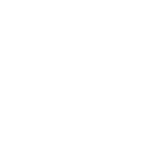 Light bulb icon